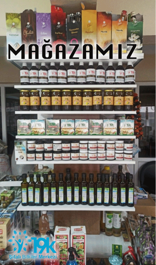 MAĞAZA1